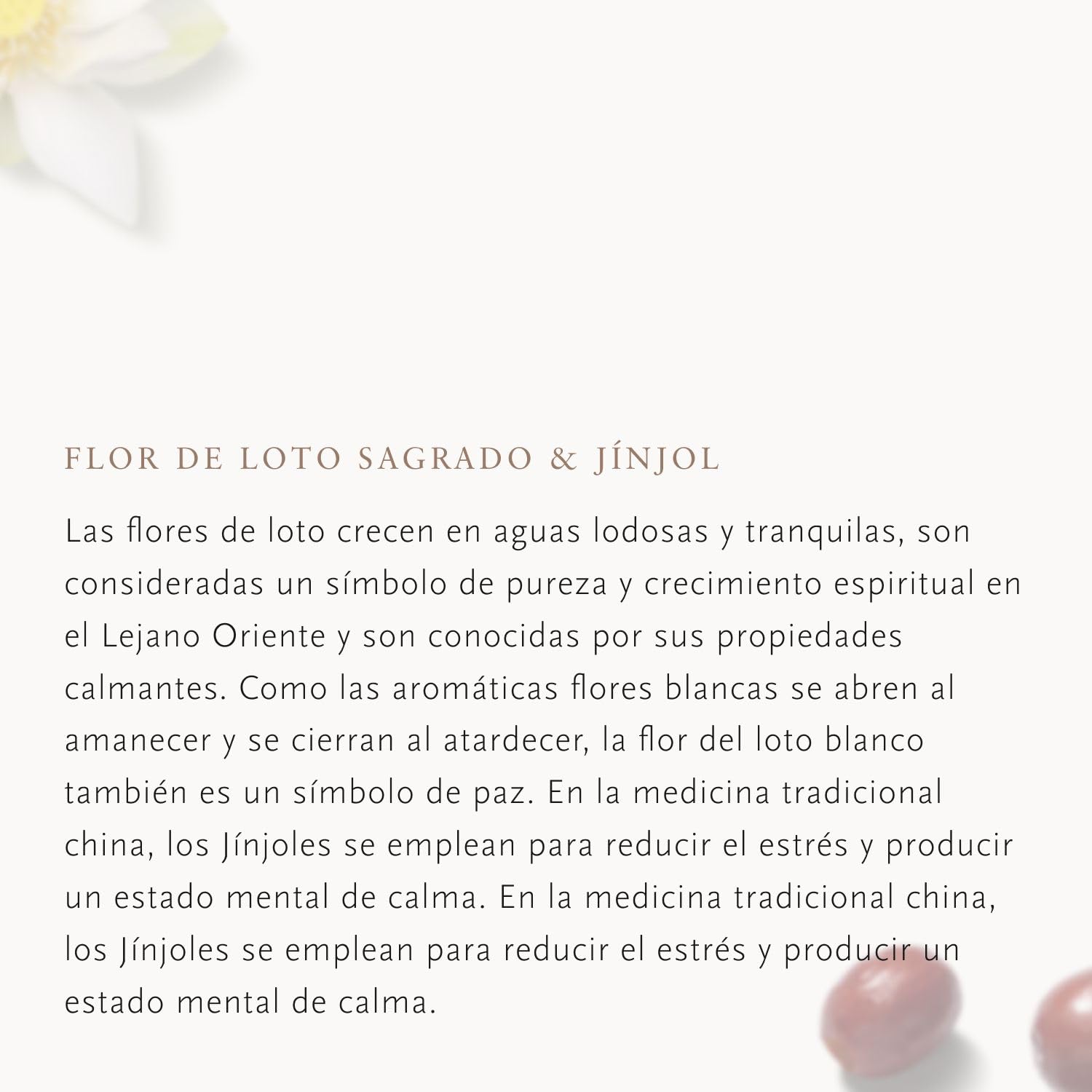 RITUALS Gel Docciaschiuma Confezione Risparmio The Ritual of Jing, 3 x 200 ml - Con Fiori di Loto Asiatico & Giuggiola - Proprietà Rilassanti & Calmanti