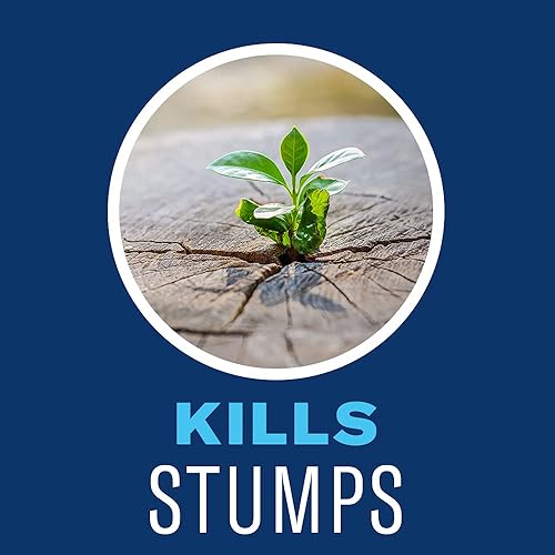 Miniatura 4 de BioAdvanced Brush Killer 704640B 704640 - Eliminador de maleza concentrado de 32 onzas