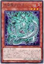 聴牌竜 遊戯王 Amazon.co.jp: 遊戯王カード 天盃龍パイドラ(スーパーレア) LEDE