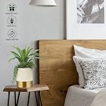 Large Artificial Succulents Plants Faux Succulents 12" Fake Succulent Plants in Gold Ceramic Pot Succulent Plant for Desk Modern Home Living Room Office Table Bathroom Decor