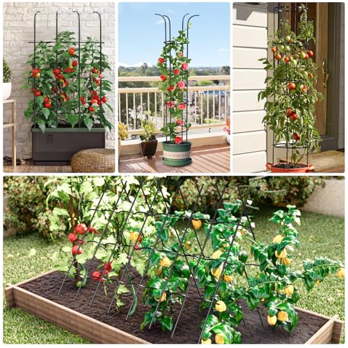 Tower Obelisk Garden Trellis for Climbing Plant，6.3FT/75.6" Rustproof Metal Potted Plant Climbing Support for Indoor Outdoor Flowers Vegetable Fruits Vines Support (1PCS) by MQUPIN - Used condition - Image 6