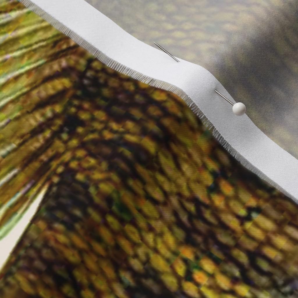 Spoonflower Fabric - Fish Bass Animal Fishing Printed on Organic Cotton Sateen Fabric by The Yard - Sewing Quilting Apparel Home Decor