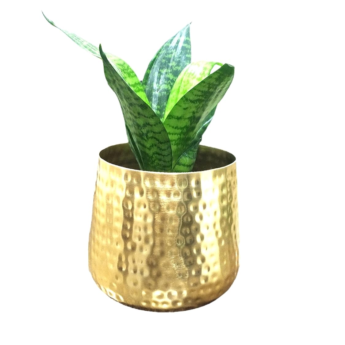 Famia Home Metal Planter Pot for Plants, Brass Vases Flower Pot for Home Decoration, Indoor Planter Balcony Garden Decor (Size: 6 x 6 inch) (B0D4DV216N) Amazon Price History, Amazon Price Tracker