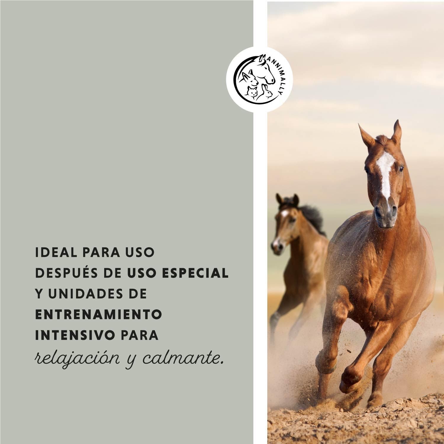 Annimally Arcilla para Caballos 2kg - Pasta de Arcilla para Caballos con valiosos extractos de Hierbas para la relajación y Calma de los músculos.