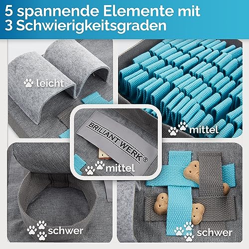 Briliantwerk®️ Schnüffelteppich Hund – Extrem widerstandsfähiges Material - 5 Trainingselemente und 3 Schwierigkeitsstufen – Das Intelligenzspielzeug für Hunde jeder Größe (Blau)