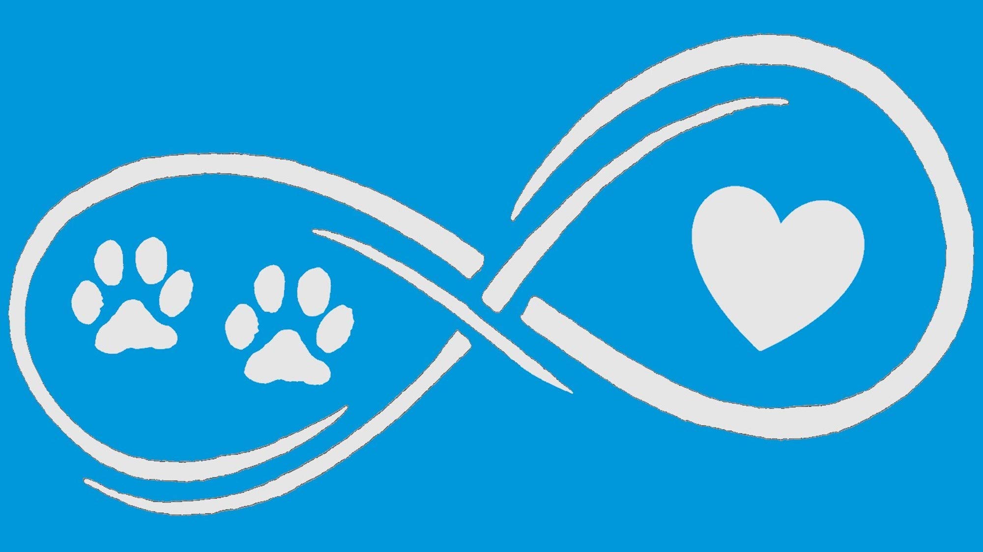 Bluegrass Decals Infinity Paws Heart Dog or Cat Decal Sticker (White, 7