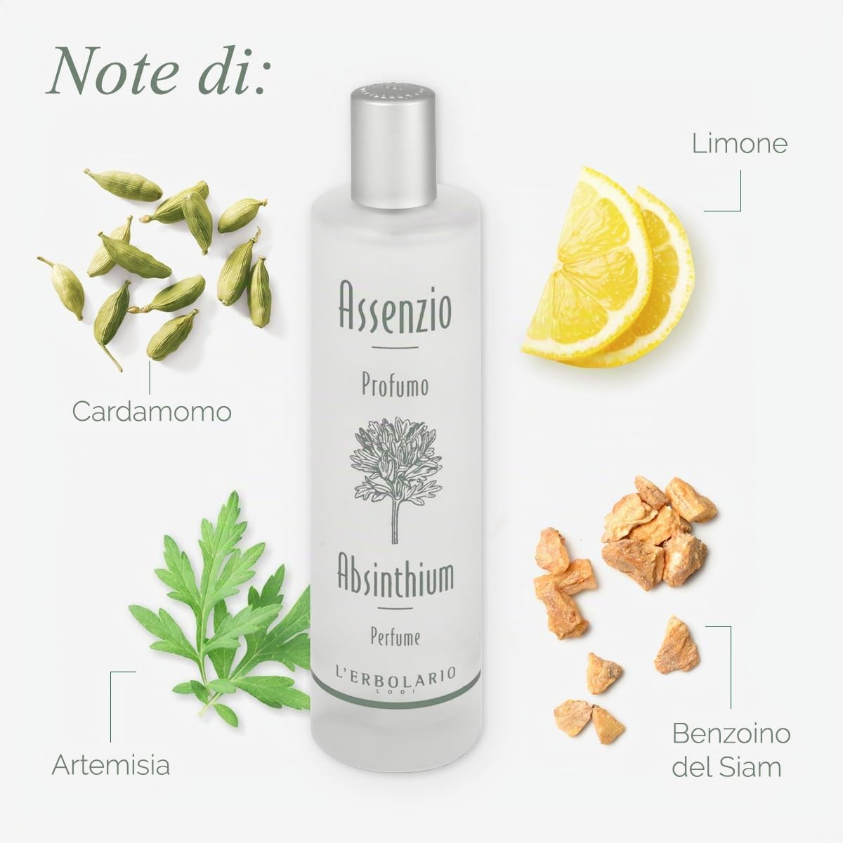 L'Erbolario Assenzio Eau de Parfum - Profumo Unisex, 100 ml | Adatto come Profumo Uomo e Profumo Donna - Fragranza Aromatica e Legnosa - Made in Italy