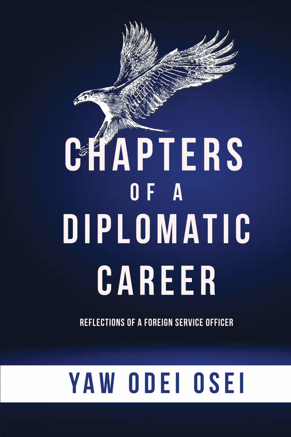 Chapters Of A Diplomatic Career: Reflections Of A Foreign Service Officer