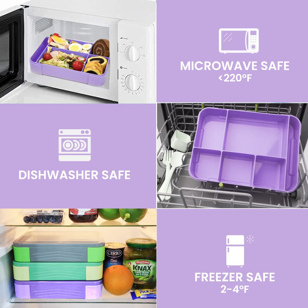 Bugucat Contenitore per il pranzo per bambini, in acciaio inox, 900 ml, a prova di perdite, per il pranzo per bambini, con divisorio, per ragazze, snack e bambini, per l'asilo, viola