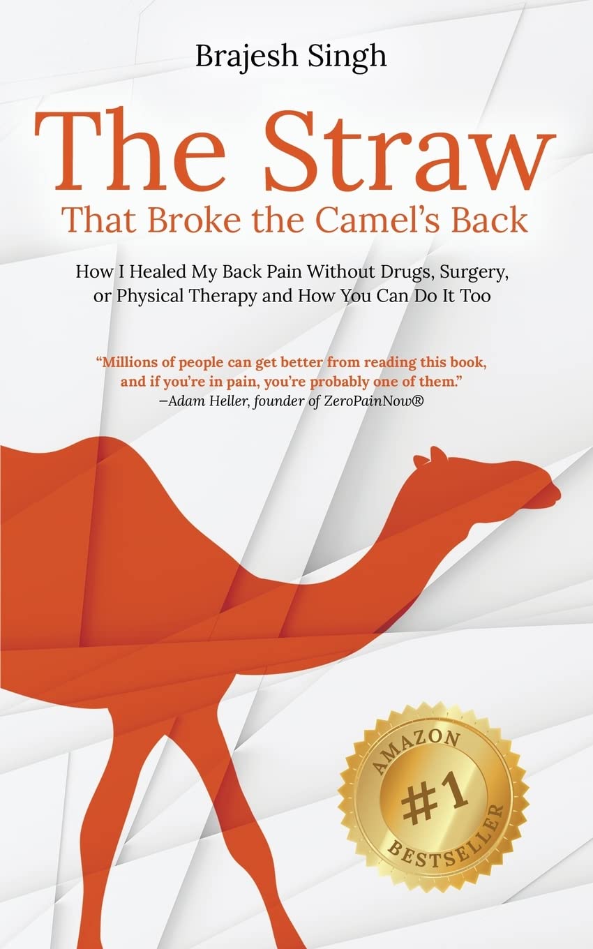 The Straw That Broke the Camel's Back: How I Healed My Back Pain Without Drugs, Surgery, or Physical Therapy and How You Can Do It Too