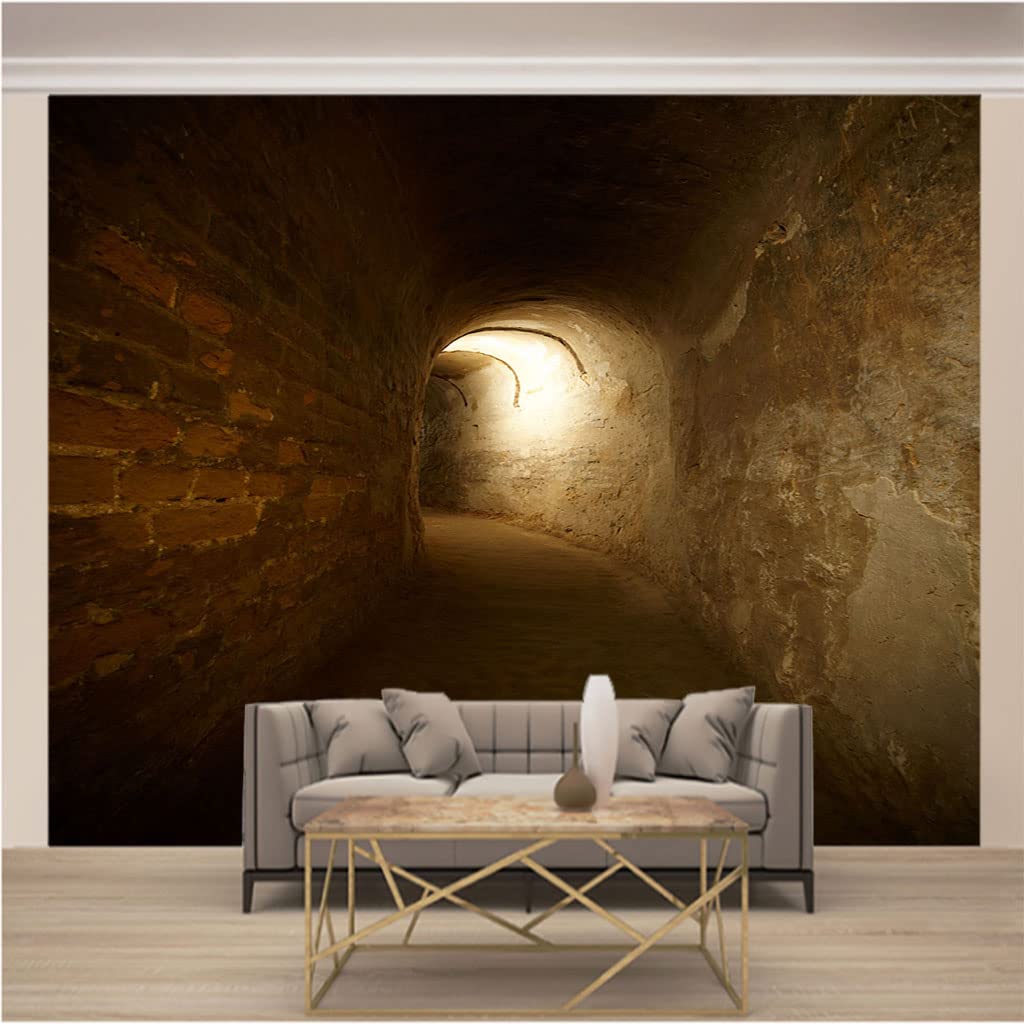 Trompe l'oeil 3d photo mural intissé grottes wallpaper de salon XXL 274x254