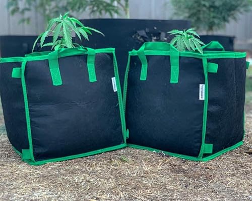 Miniatura 6 de Lawei Paquete de 100 bolsas de cultivo de plástico de 1 galón, bolsas de cultivo de plantas en blanco y negro, bolsas de siembra para plantas de