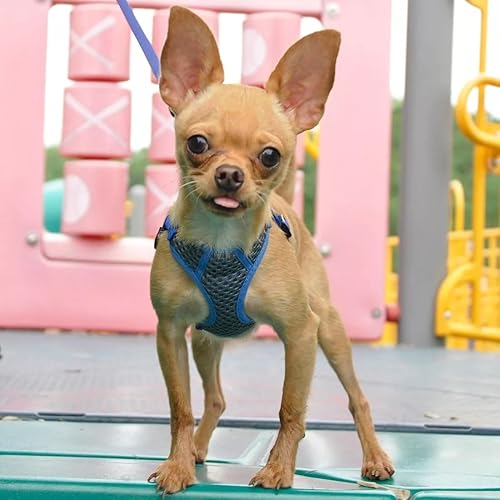 Miniatura 9 de Coastal Pet Comfort - Arnés deportivo ajustable suave para perros, arnés para perros grandes y pequeños, arnés duradero para perros con almohadilla