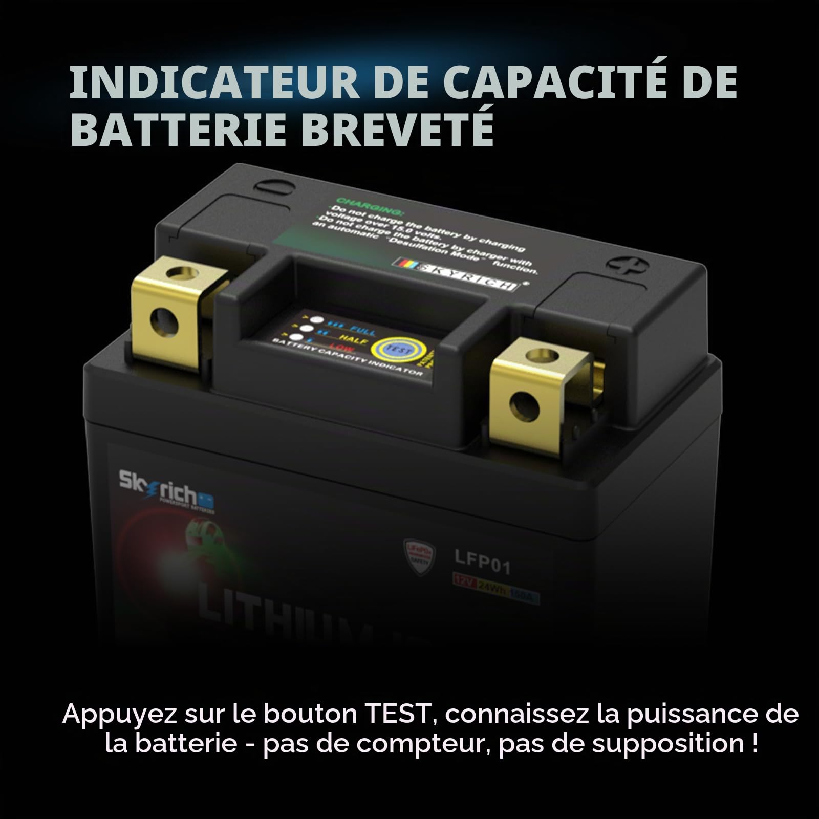 Batterie Skyrich Lithium LFP01