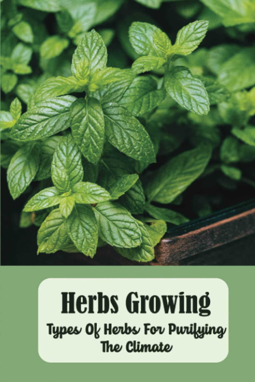 Herbs Growing: Types Of Herbs For Purifying The Climate