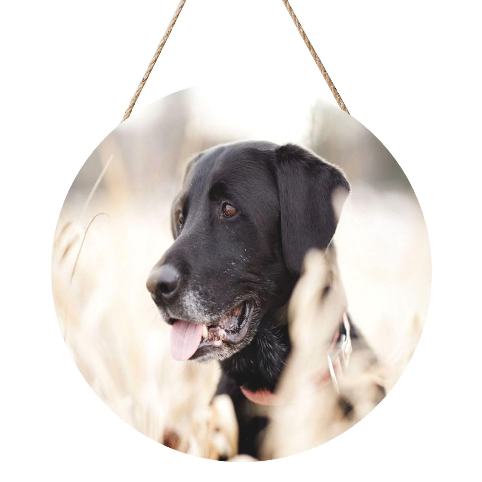 InOmak Animal Labrador Dog, Round Wood Panel Painting 12 in, Wall Hanging Painting For Home