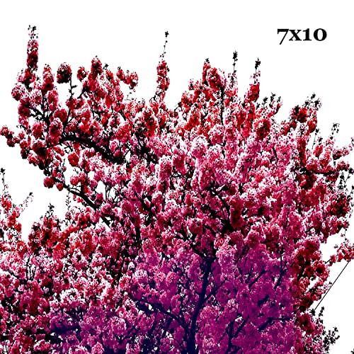  7x10