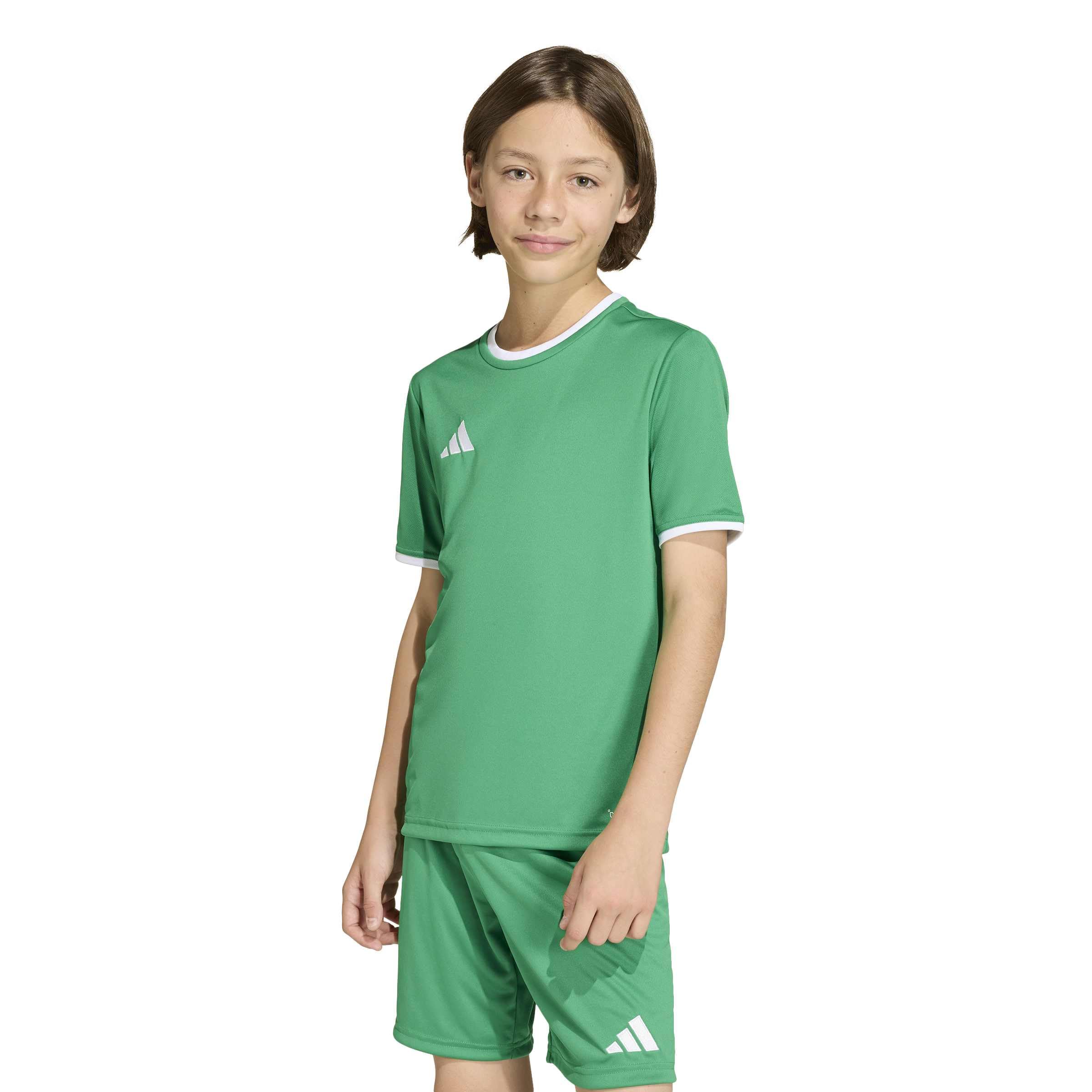 adidas Unisex Kids Entrada26 Jersey Kids Shirt, Team Green/White, 7-8 Years