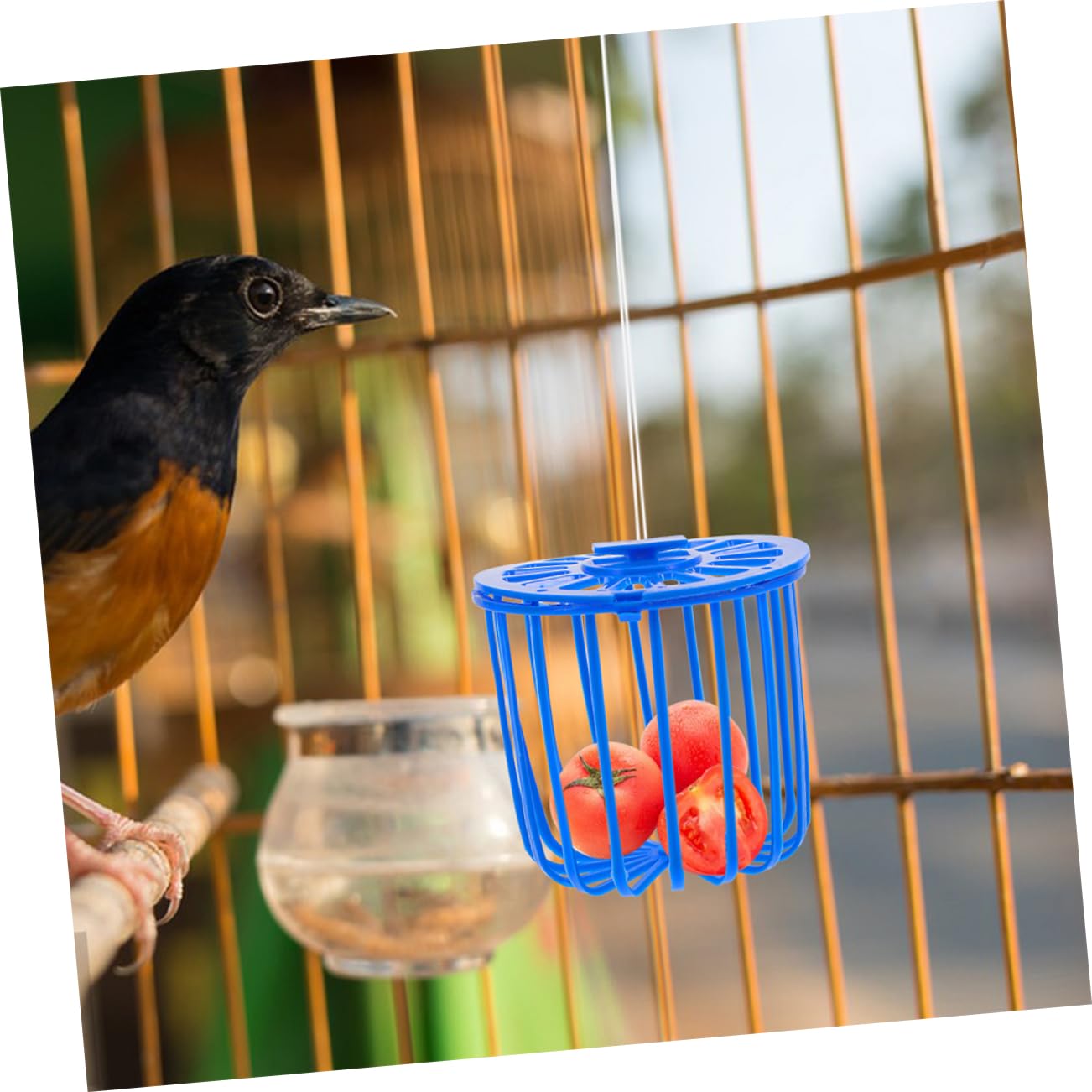 5x Vogelfutterstation Obstkorb Für Vogelkäfig – 7x7x4 Cm, Kunststoff, Für Papageien, Sittiche