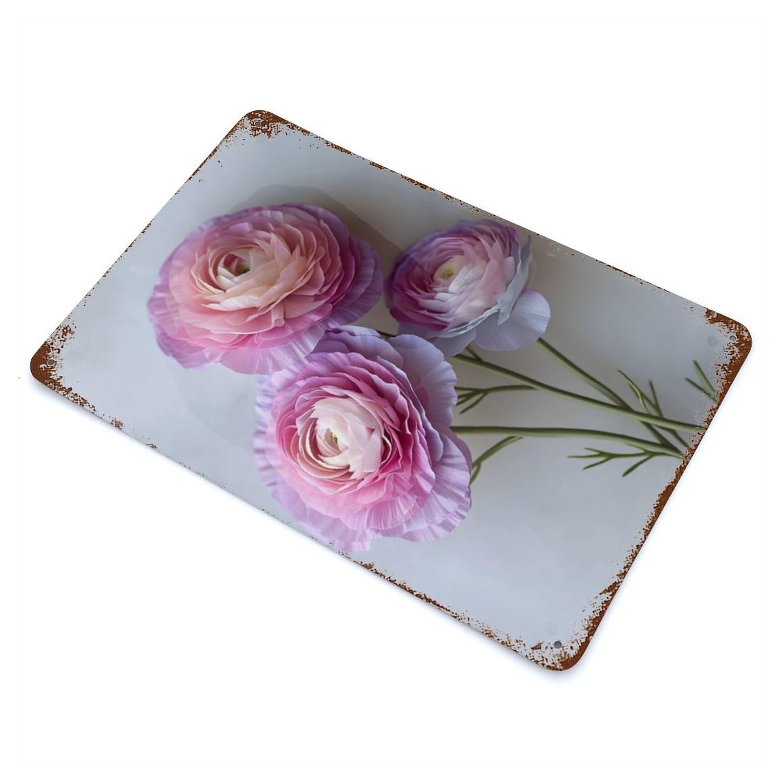 Purple Ranunculus Flowers Vintage Rust Metal Sign 11.8"x7.9", Shabby Chic Decor for Garage, Pub Or Kitchen