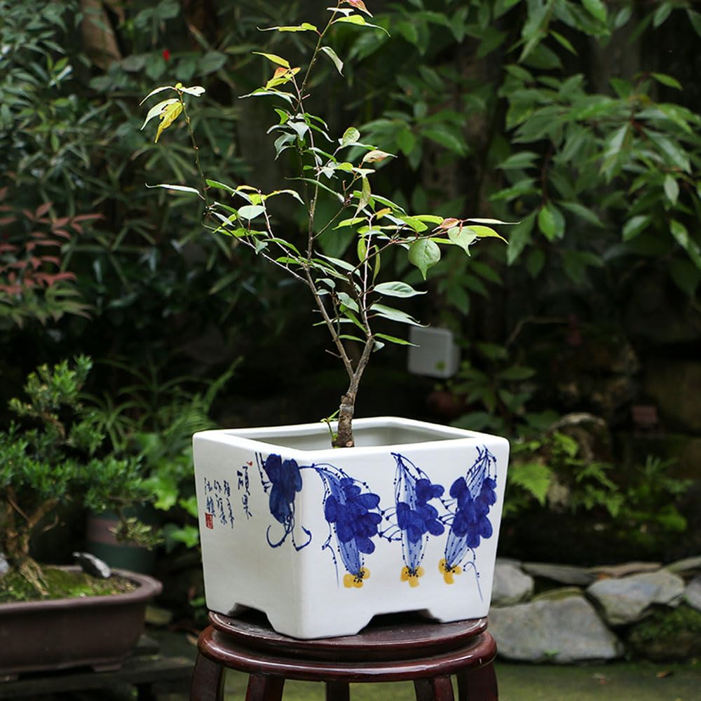 SWENEEN Jingdezhen Ceramic Planter Blue And White Porcelain Flower Pots Chinese Bonsai Pot Bohemia Decorative Plant Pot Table Centerpiece For Home Office Table,C