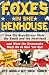 Foxes in the Henhouse: How the Republicans Stole the South and the Heartland and What the Democrats Must Do to Run 'em Out