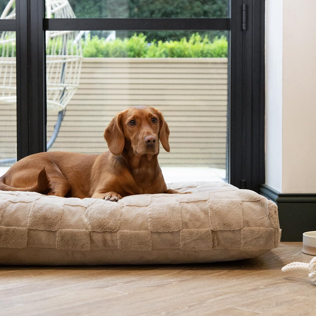 Scruffs Luxury Oxford Dog Bed Mattress (XL)