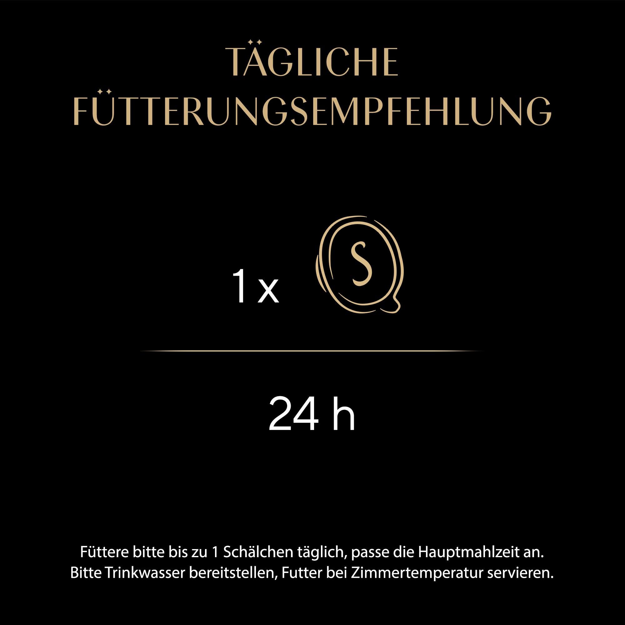 Sheba Filets Adult Katzenfutter in Sauce mit Huhn und Thunfisch, Weißfisch, Geflügel und Lachs 36 x 60 g Schale