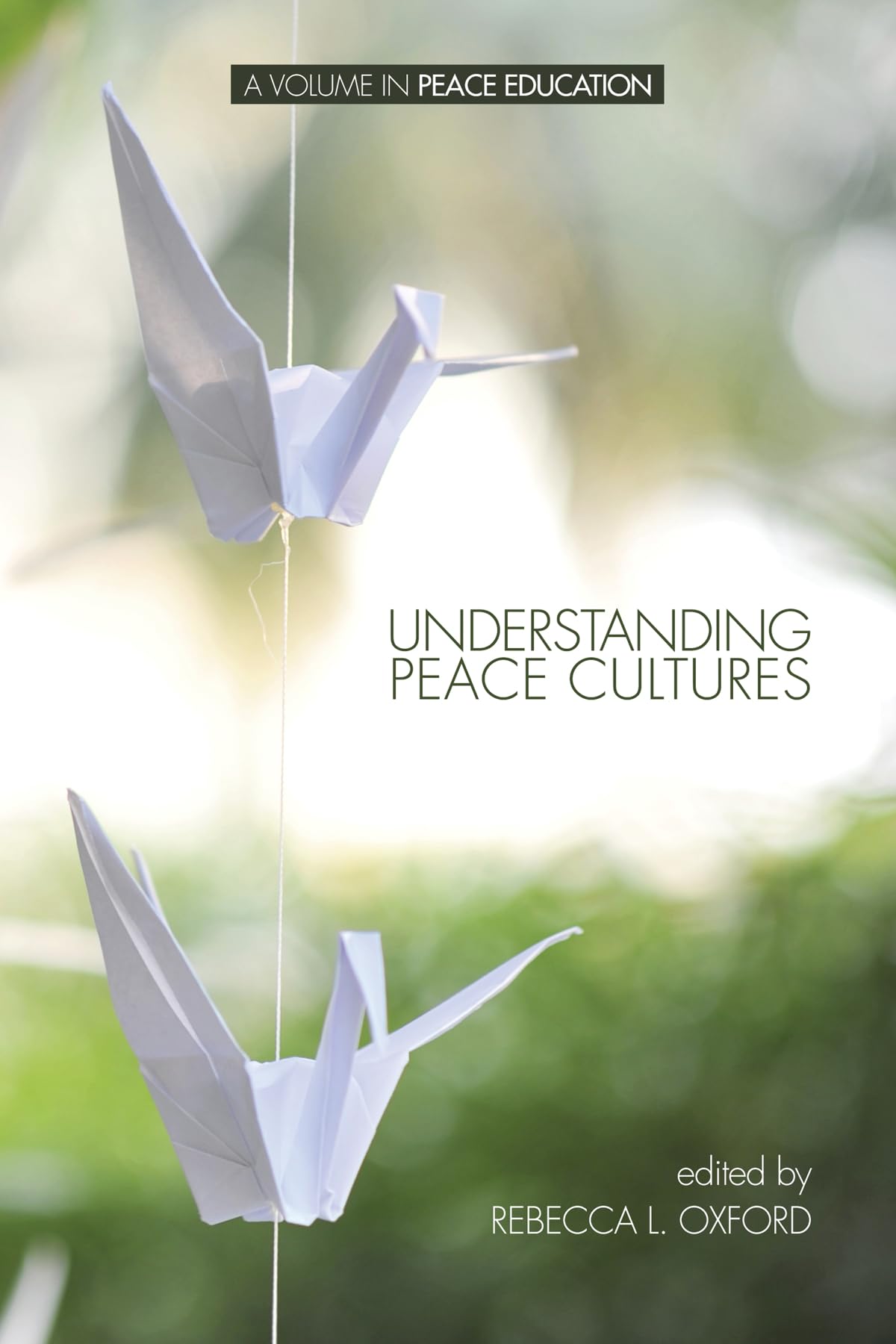 Buy Understanding Peace Cultures — BookShops.in