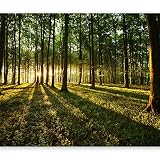 artgeist Wall Mural Forest 135x101 in - Peel and Stick Self-Adhesive Wallpaper Removable Large Stick