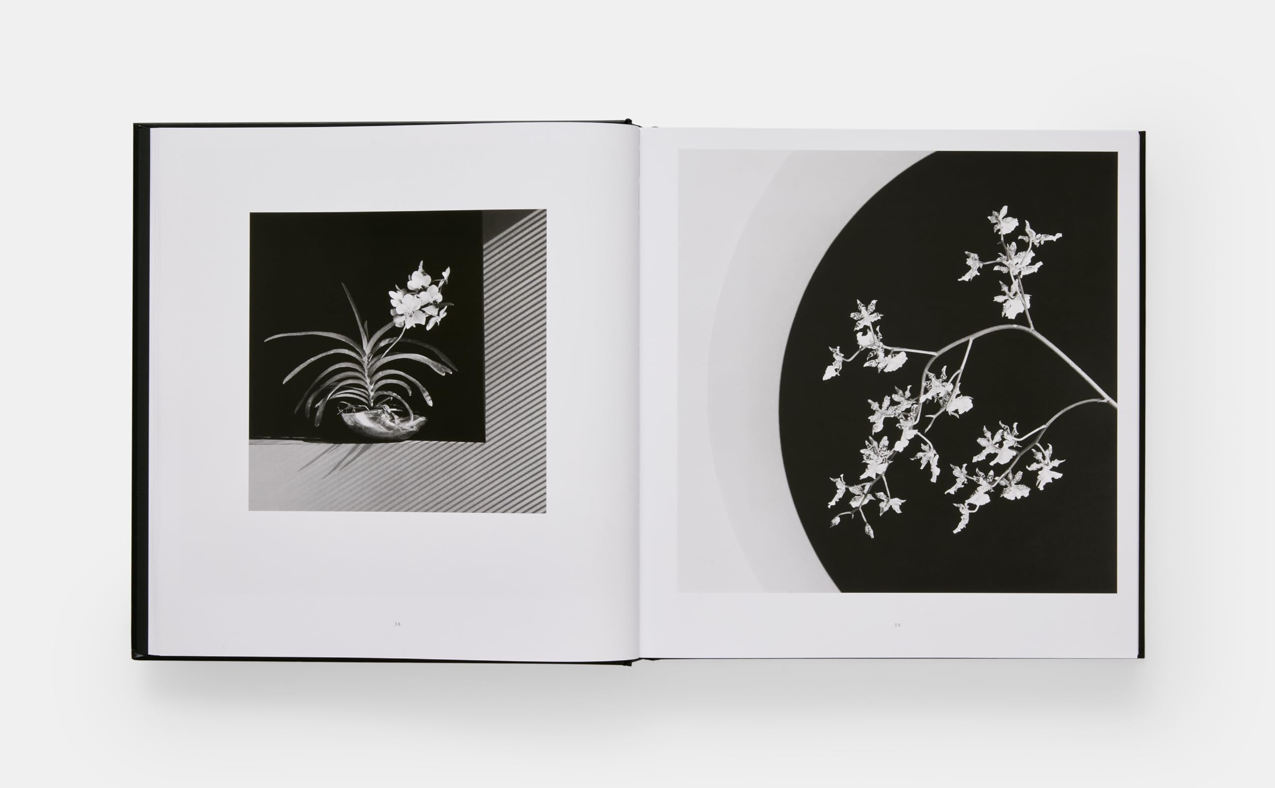 Robert Mapplethorpe. Flora. The complete flowers