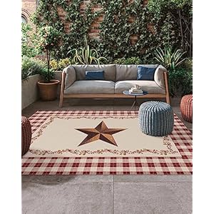 5×8 feet Outdoor Area Rug Non Slip Carpet Texas Star and Primitive Berries ustic Farmhouse Check Absorbent Mat Low Pile Rugs for Patio Backyard Deck Picnic Beach Trailer Camping Decor
