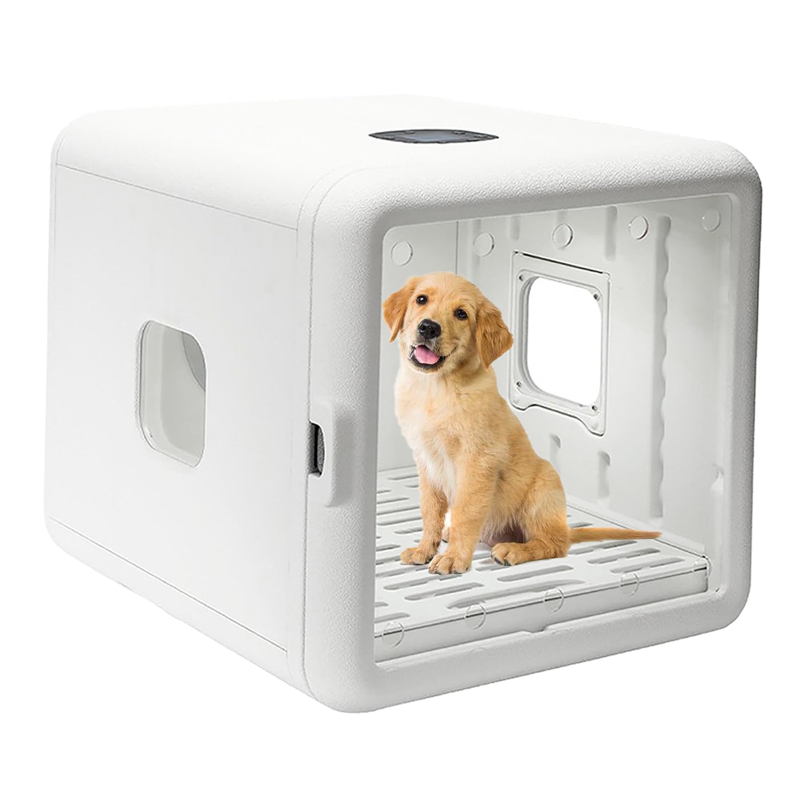 Secador automático para Mascotas para Gatos y Perros pequeños, Caja Secadora para Mascotas Ultra silenciosa con Control de Temperatura y Tiempo Ajustable