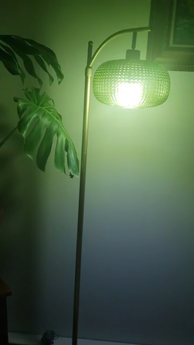 Image of Modern Floor Lamp for Living Room, Mid Century Standing Lamp Green Shade