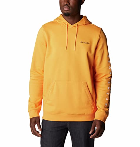 Image of Columbia Men CSC Basic Logo II Hoodie