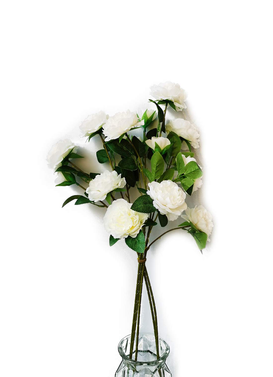 product_img5