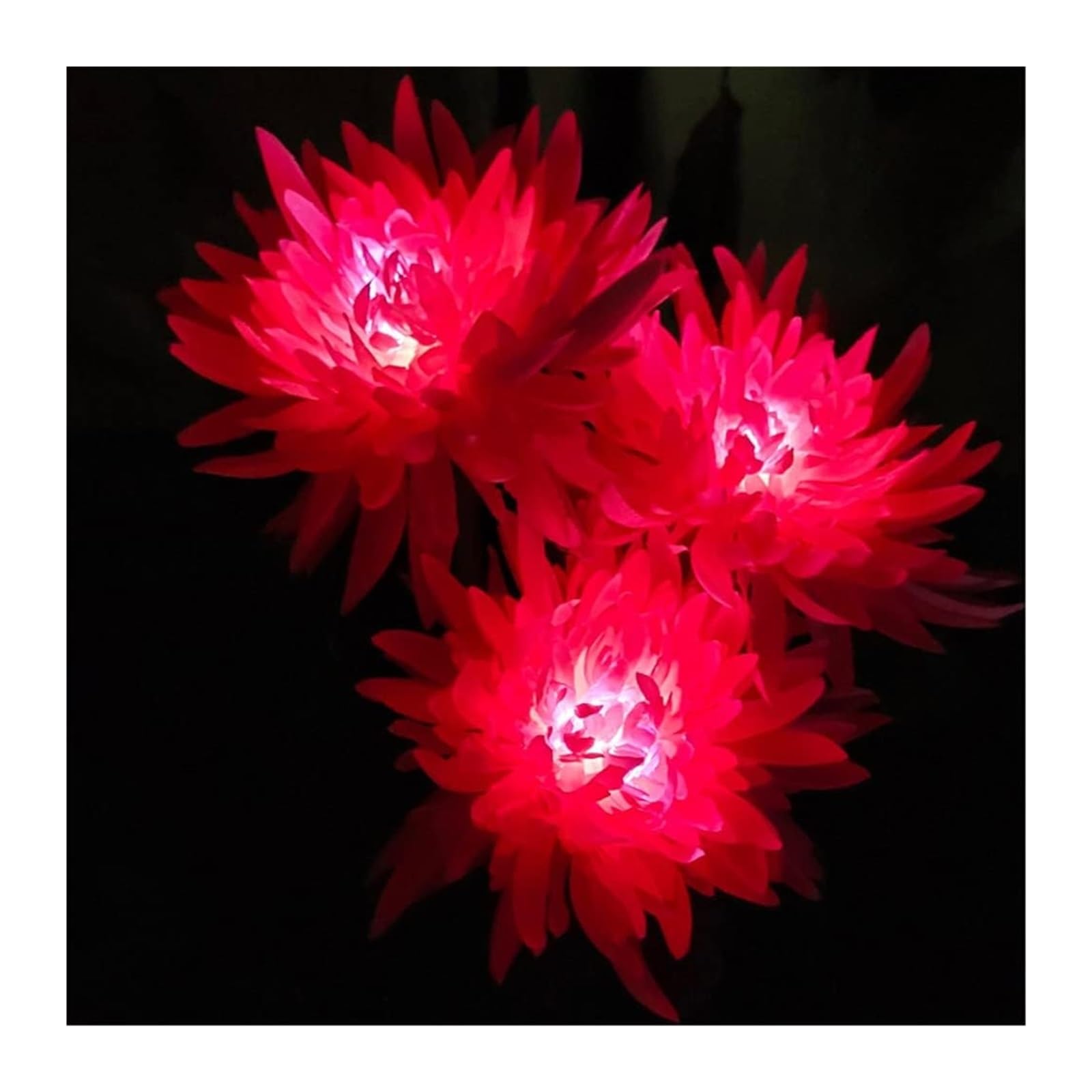 BuTkus Confezione da 4 luci solari da Giardino for Esterni, con Fiori di crisantemo a 3 Teste, Impermeabili (Color : Four Pink)