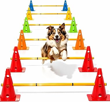 Dog Agility Training Hurdle Cone Set, Adjustable Dog Agility Equipment Obstacle Course Backyard Equipment for Pet Exercise 6 Set
