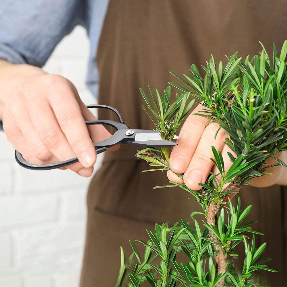 Set di 13 Attrezzi Bonsai, Set di Attrezzi da Giardinaggio che Include Forbici Potatura, Forbici Bonsai, Mini Rastrello, Pala a Punta Tonda, Filo Bonsai