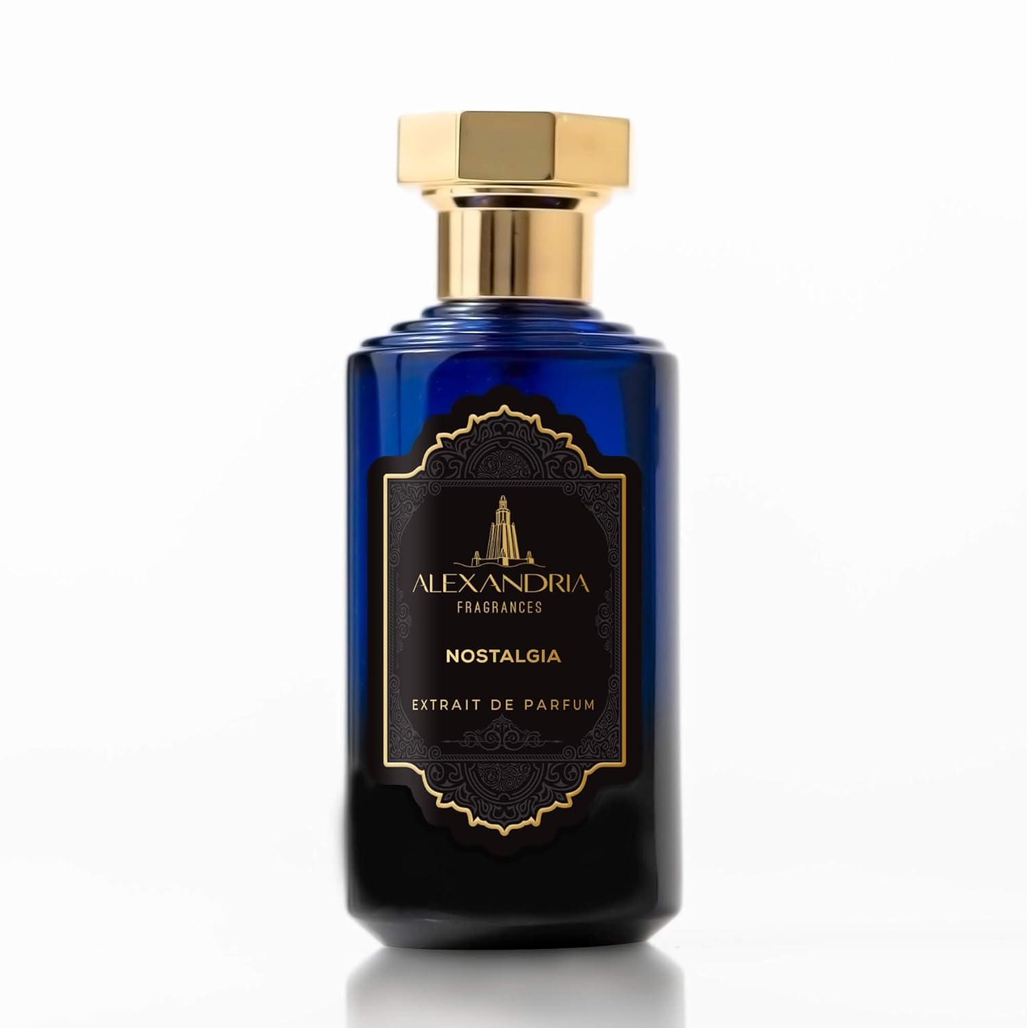 Alexandria Fragrances Nostalgia 100 ML