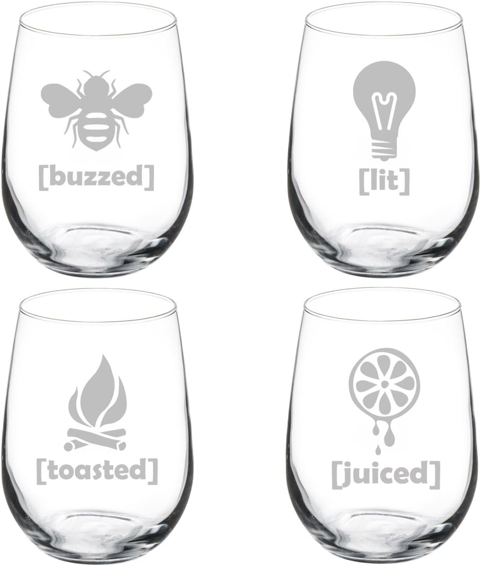 MIP Set of 4 Wine Glass Goblet Funny Drunk Buzzed Lit Toasted Juiced (17 oz Stemless)