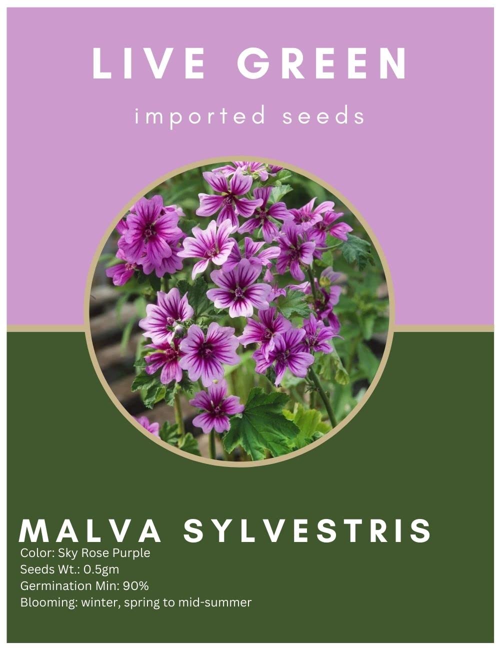 Live Green Imported Seeds - Malva Sylvestris Rose Purple Flower Seeds for Pots and Gardens - Pack of 0.5gm Seeds