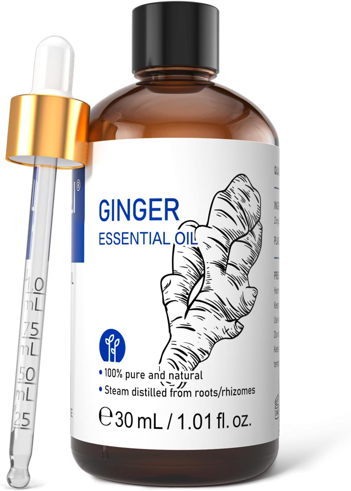 HIQILI Ginger Essential Oil 30ml, 100% Natural Aromatherapy Oil for Diffuser, Aromatherapy, Spray, Bath & Hair Care, Candle Making - 1 Fl Oz