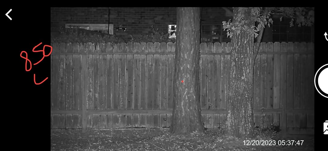 Review Image by Dave