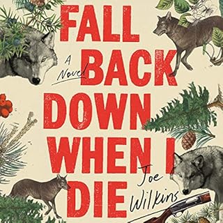 Fall Back Down When I Die Audiolibro Por Joe Wilkins arte de portada