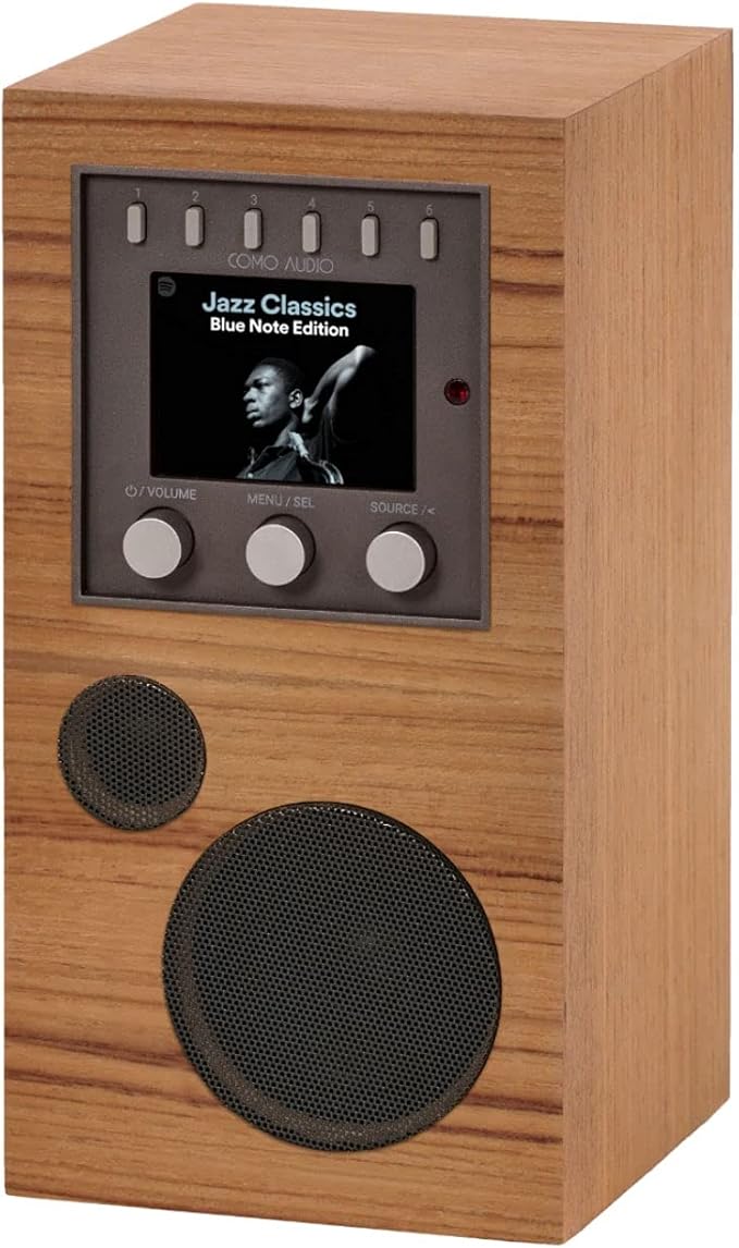 Como Audio Amico Portable Wireless Music System with