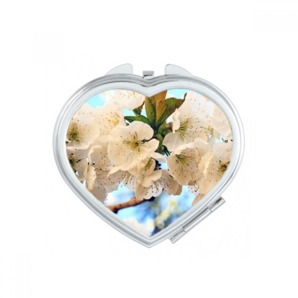 Miroir compact en cœur à motif de roses mignon petit cadeau portable pour femme