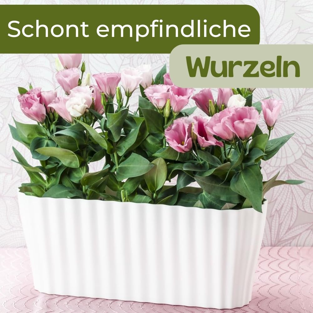 rollbarer blumenkasten robinia-pro PFLANZKASTEN mit RANKGITTER klassisch, auf Rollen  robinia24