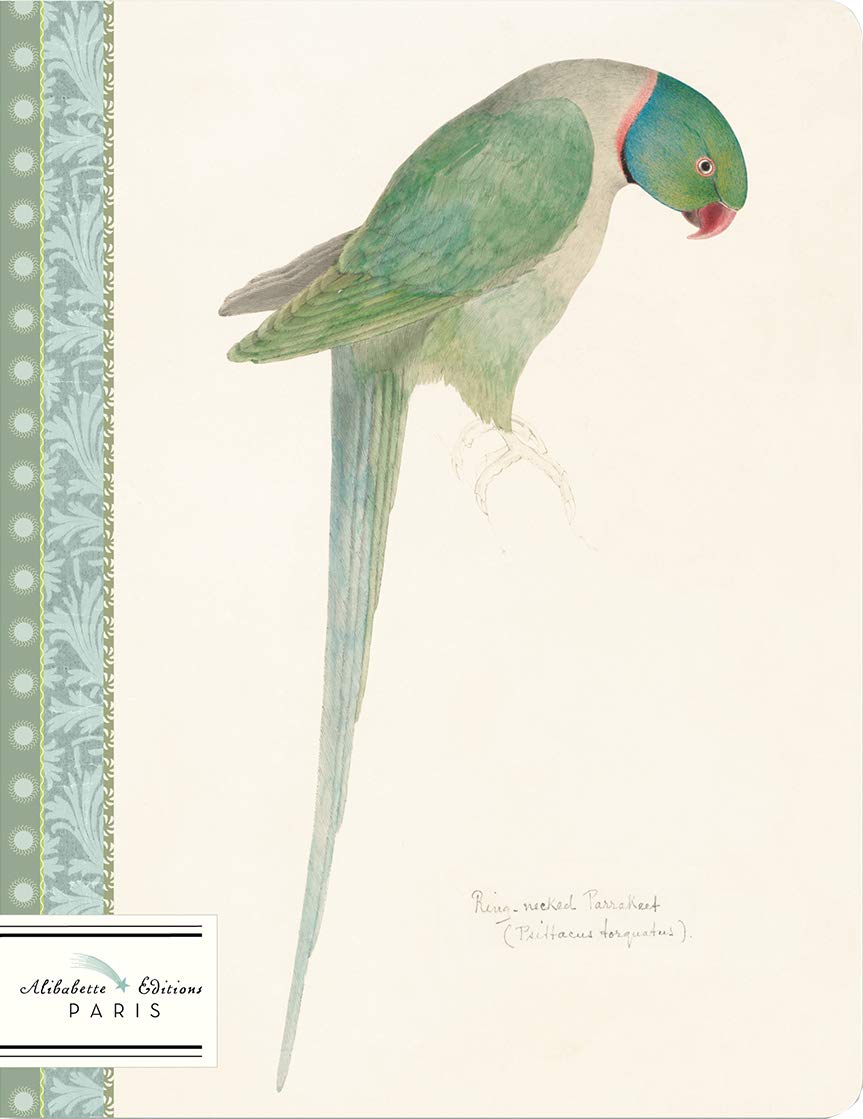 Perruche-Parakeet: Watercolor of Ring Necked Parakeet Circa 1835 by Edward Lear (1812-1888) (Lined Journals)