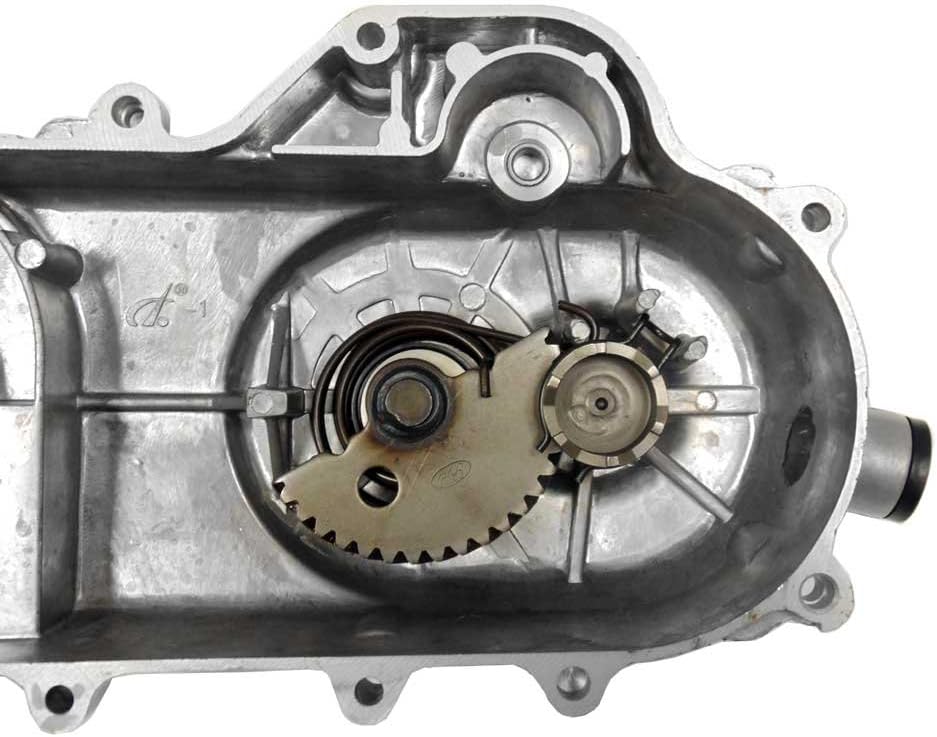 Transmission Cover Assembly - Long Case - for QMB139 50cc Engines (1121_LC)